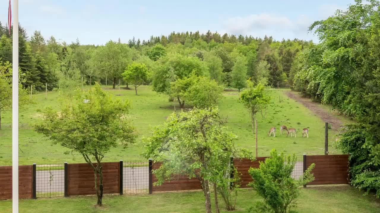 Opslagstavlen: Nyeste opdateringer fra Aalestrup