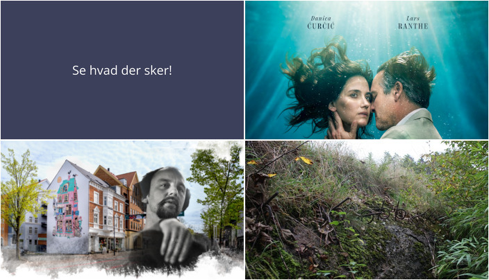 Udforsk Skanderborg: Fra kærlighedsdrama til historiske bunkerrundvisninger