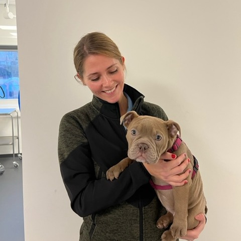 Nyt på opslagstavlen i Risskov