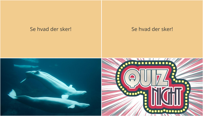 Filmvisning og quizaften i Brædstrup – tag del i ugens begivenheder