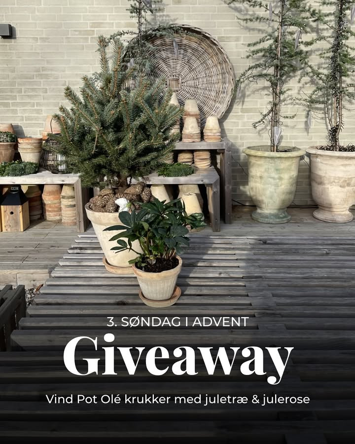 Vind rustikke potter fra Skaldyrshuset i julekonkurrence