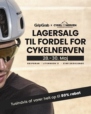 opslagsbillede