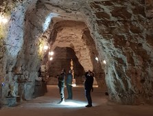 Oplev flagermus og kunst i Thingbæk Kalkminer