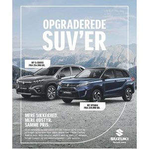 Opslagsbillede