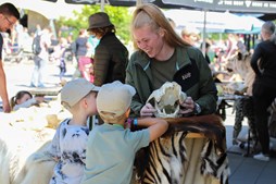 Aalborg Kommune sikrer gratis og fleksibel adgang til zoologisk have for alle børn og unge