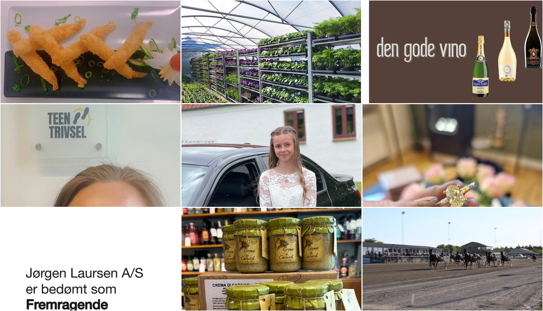 Nyt fra Sushi Scandic, Guldsmed Ø, Asmild Plantecenter ApS og 6 andre