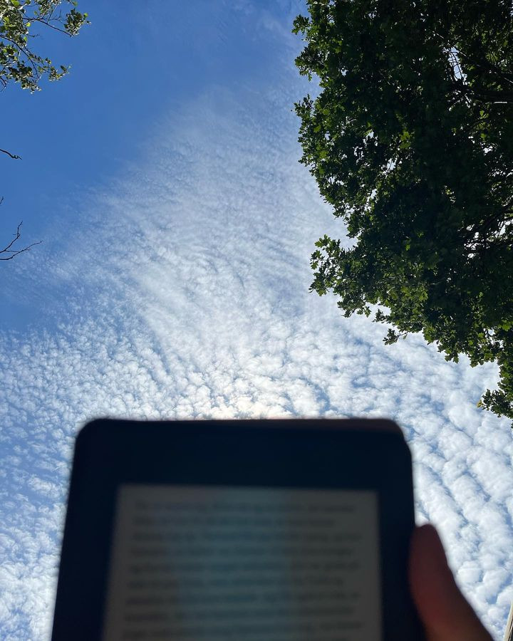 Hold trit med lokalområdet: Nyt fra Skanderborg