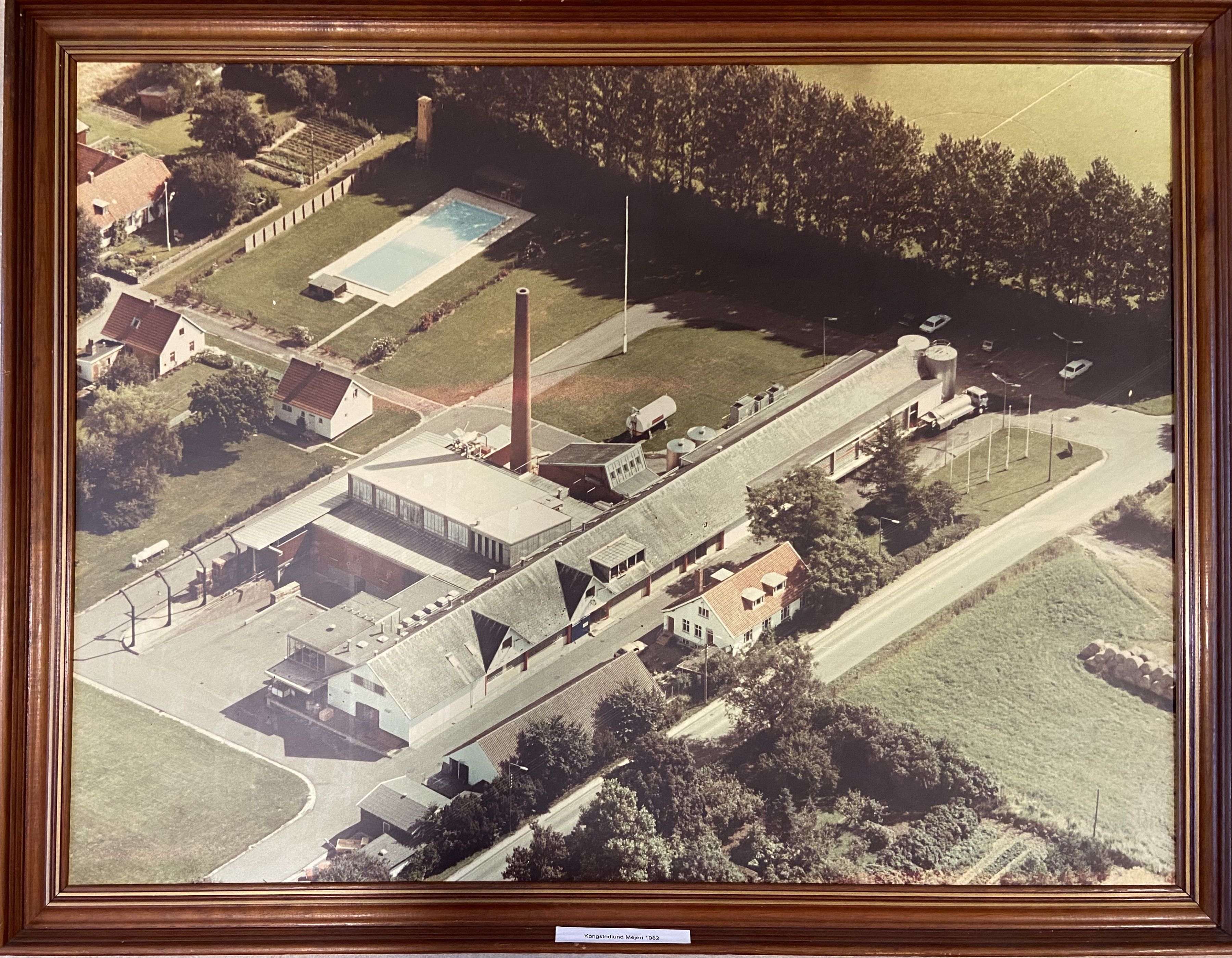 Arkivernes dag og livestream om naturens tilbagegang i Sorø