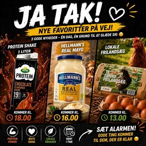 Opslagsbillede