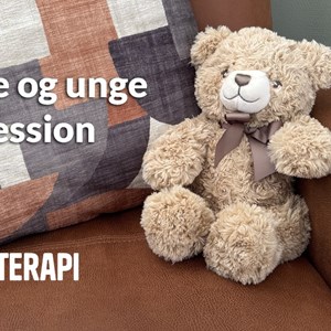 Opslagsbillede