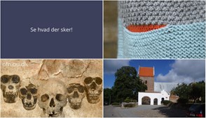 Strik for en god sag og evolutionært foredrag: Ugen i Ryomgård