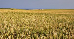 Historisk klimaaftale underskrives