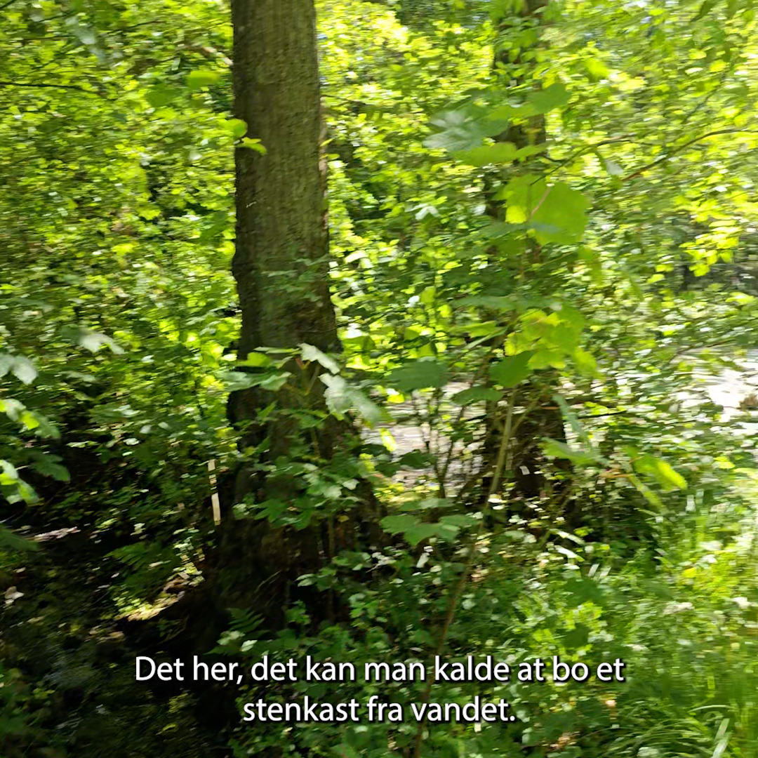 Hold trit med lokalområdet: Nyt fra Hadsund