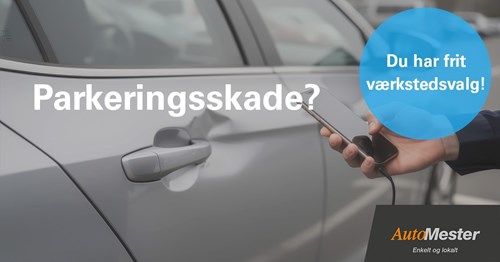 Opslagsbillede