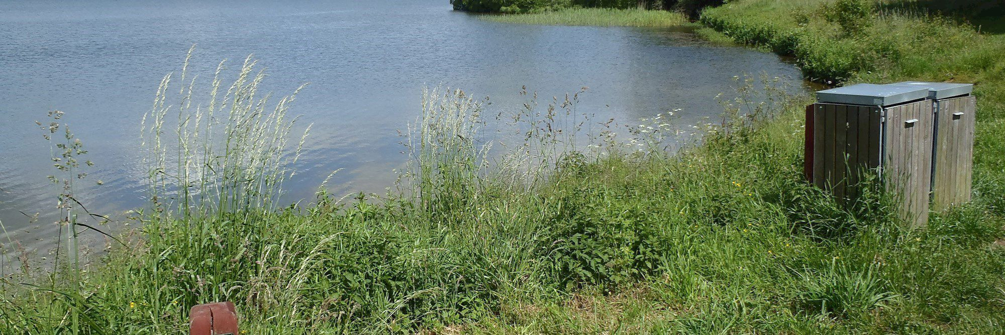 Alger kan påvirke din svømmetur: Sådan sikrer du sikkert badevand i Viborg