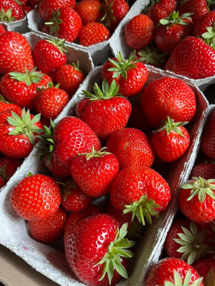 Se dagens updates fra Horsens her