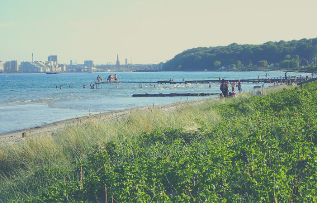 Risskovs nye, digitale ugeavis er mere lokal end nogensinde