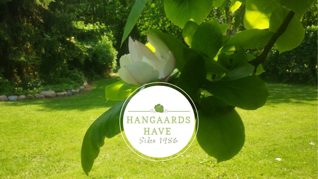 Afslutning på sæsonen i Hangaards Have