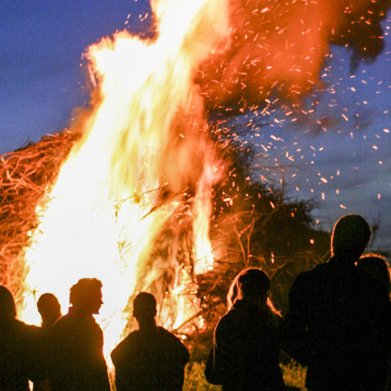 Opslagstavlen: Nyeste opdateringer fra Vejle