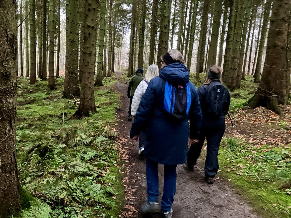Hyggelig vandretur gennem Marselisborg skov til Moesgaard strand