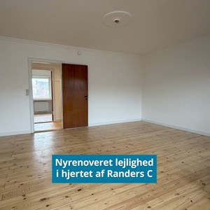 Opslagsbillede