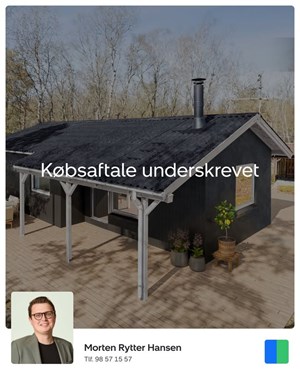 opslagsbillede