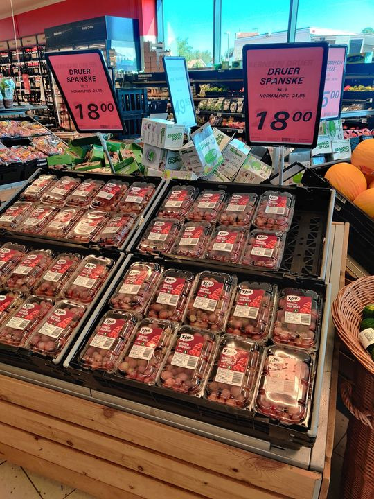 En finger på pulsen i Tjele