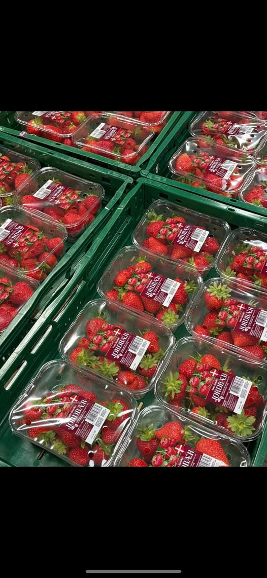 Midtjydsk Gartnerhal tilbyder friske danske jordbær til særlige priser