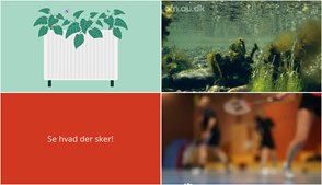 Økonomi, havets økosystem og senioridræt: Oplev Tjele den kommende uge