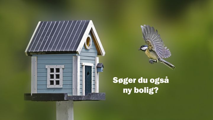 Hold trit med lokalområdet: Nyt fra Nordborg