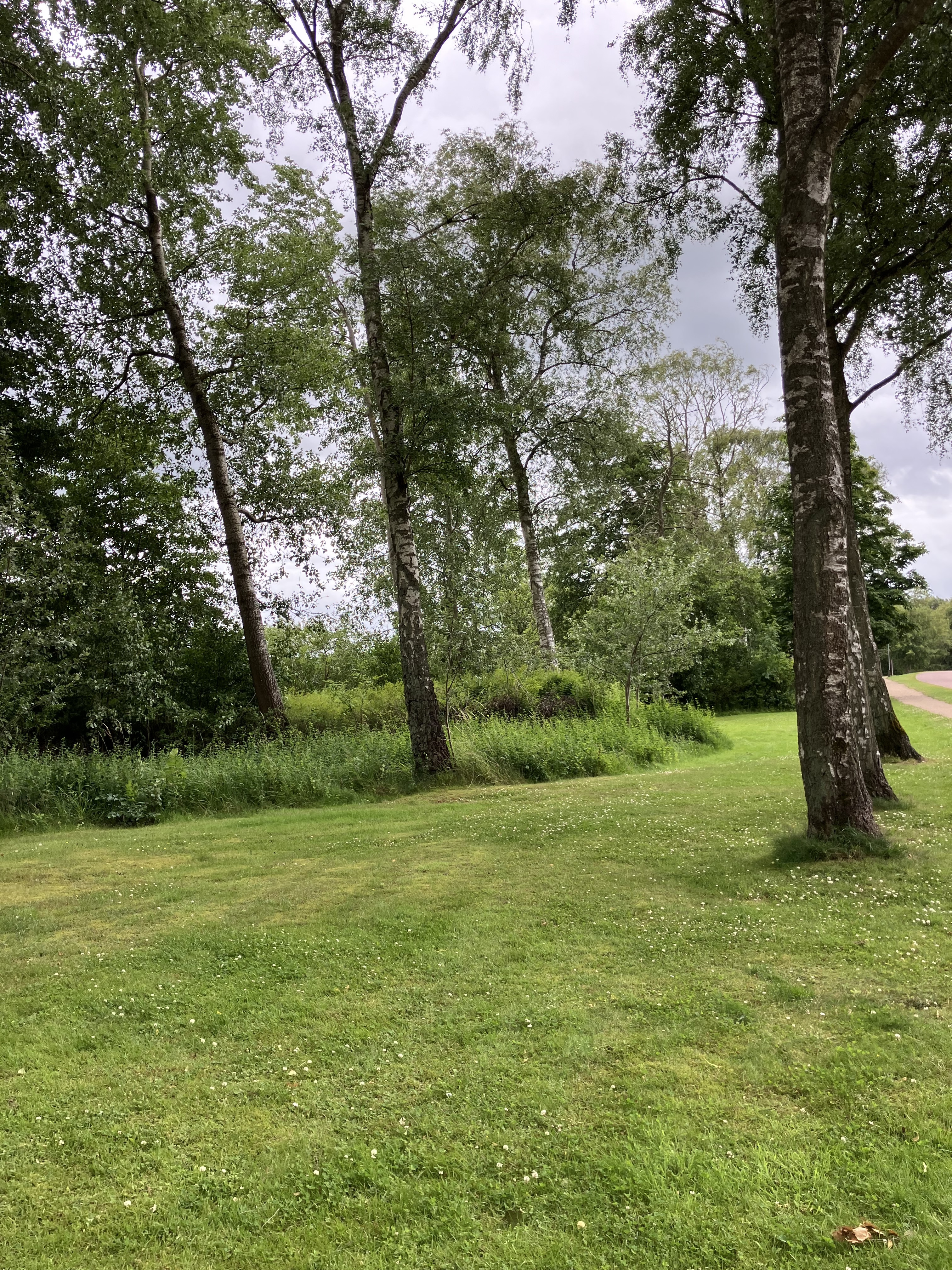 Tag med på gåtur i Skals med Gå-gruppen Viborg