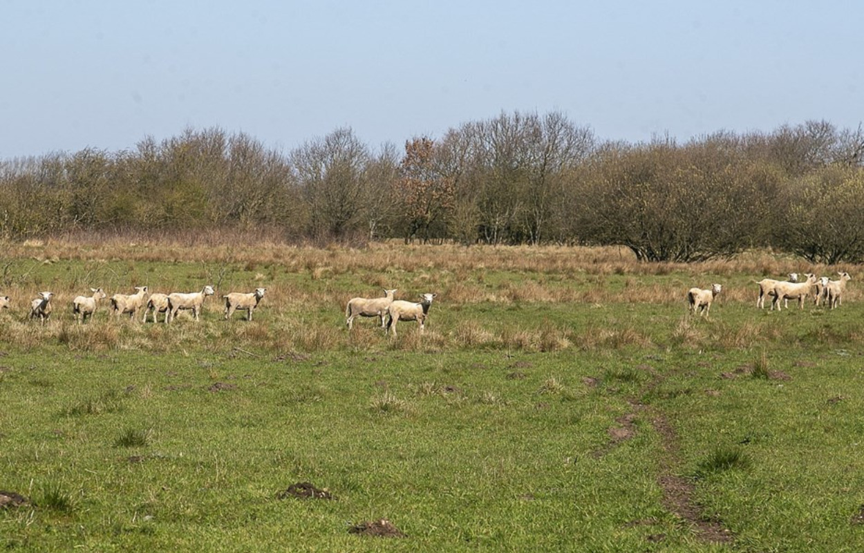 Indvielse af nye vandreruter og madpakkehus i Salling