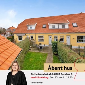 Opslagsbillede