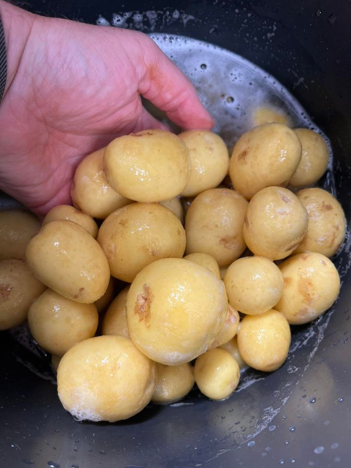 Hold dig ajour med dagens opdateringer fra Horsens