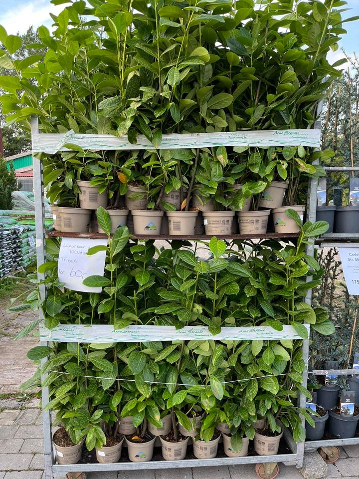 En finger på pulsen i Odder