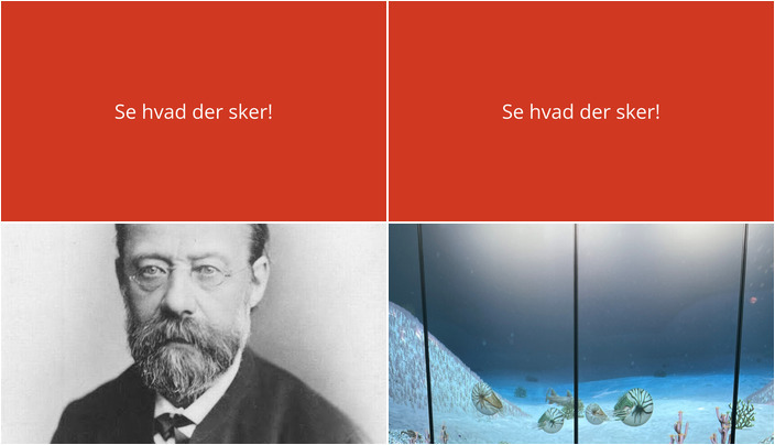 Udforsk Faxe: Klassisk musik og fossile koralrev