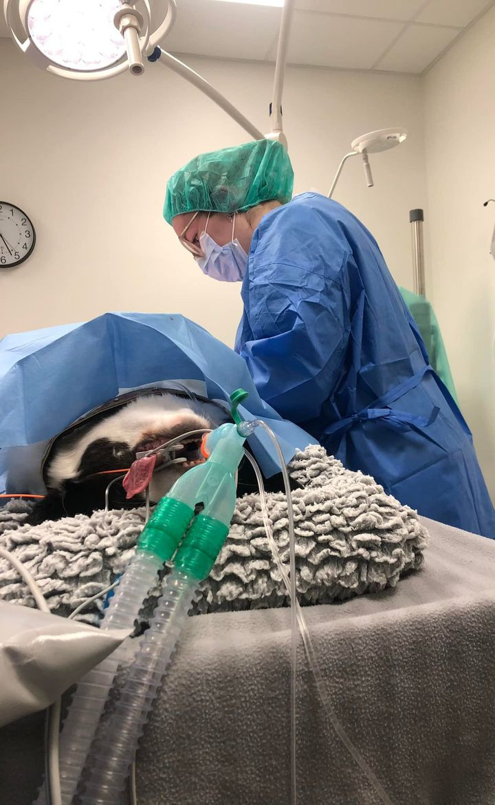 En finger på pulsen i Herning