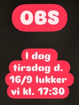 Opslagsbillede