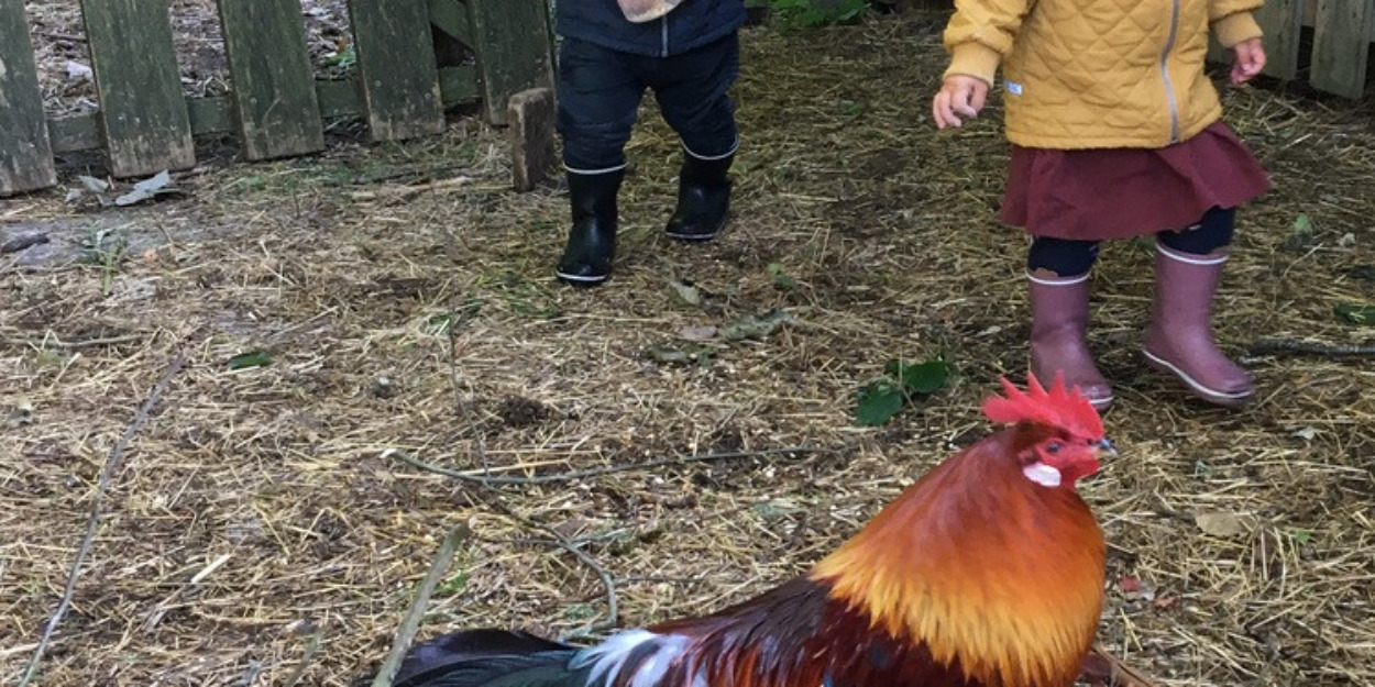 Ferieaktivitet: Kom tæt på Naturskolens og skovens dyr i Undallslund