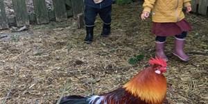 Ferieaktivitet: Kom tæt på Naturskolens og skovens dyr i Undallslund