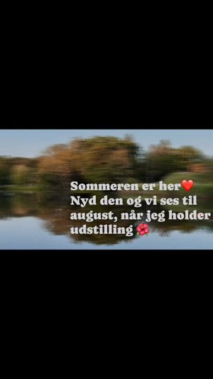 opslagsbillede