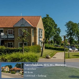 opslagsbillede