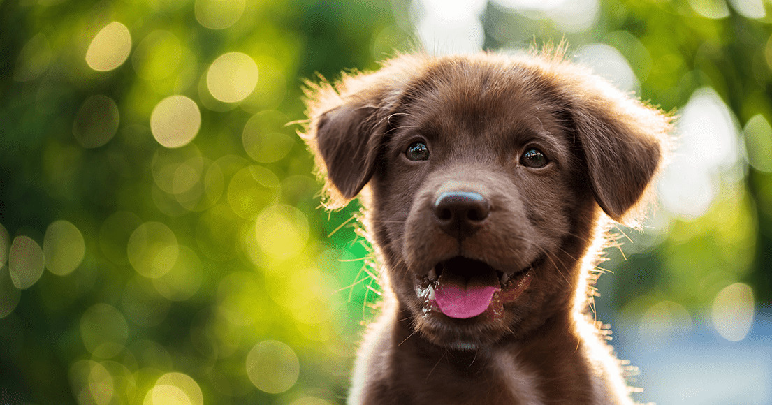 Opdatér dig her: Det nyeste fra Ikast