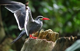 Efterårshygge i Randers Regnskov