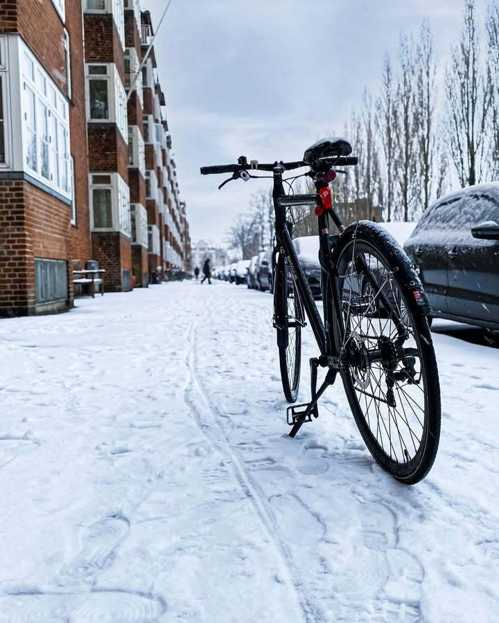 Fri BikeShop Vejle: Få din cykel klar til foråret med vores hjælp