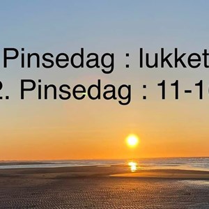 Opslagsbillede