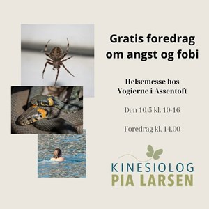 Opslagsbillede