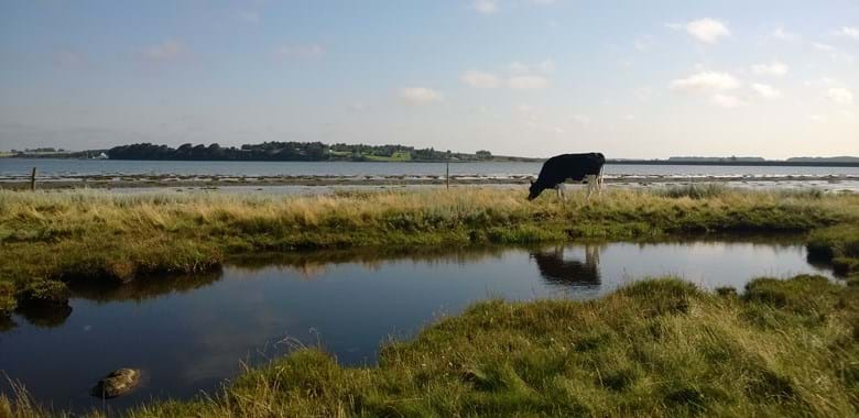 Potentiale for op til 30% CO2-reduktion på landbrug i Odder