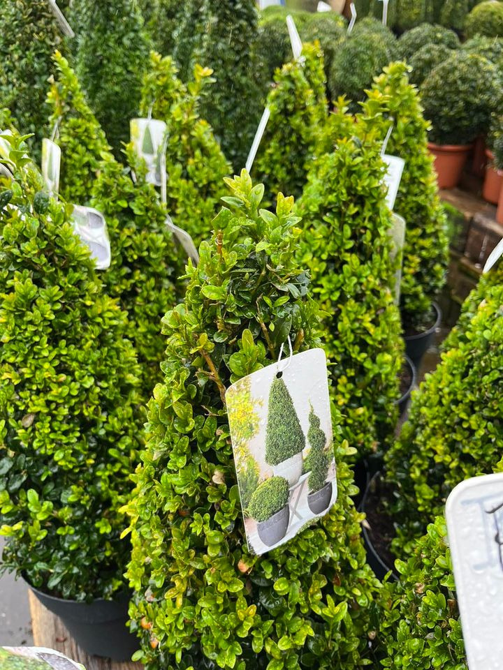 Se dagens updates fra Horsens her