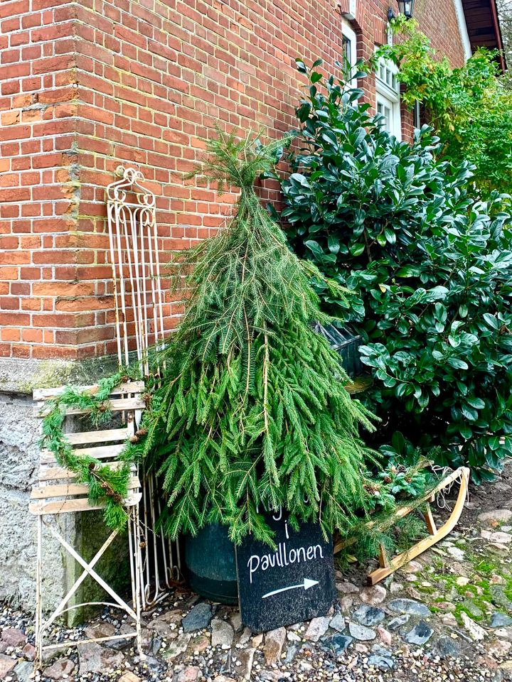 Opslagstavlen: Nyeste opdateringer fra Hadsund